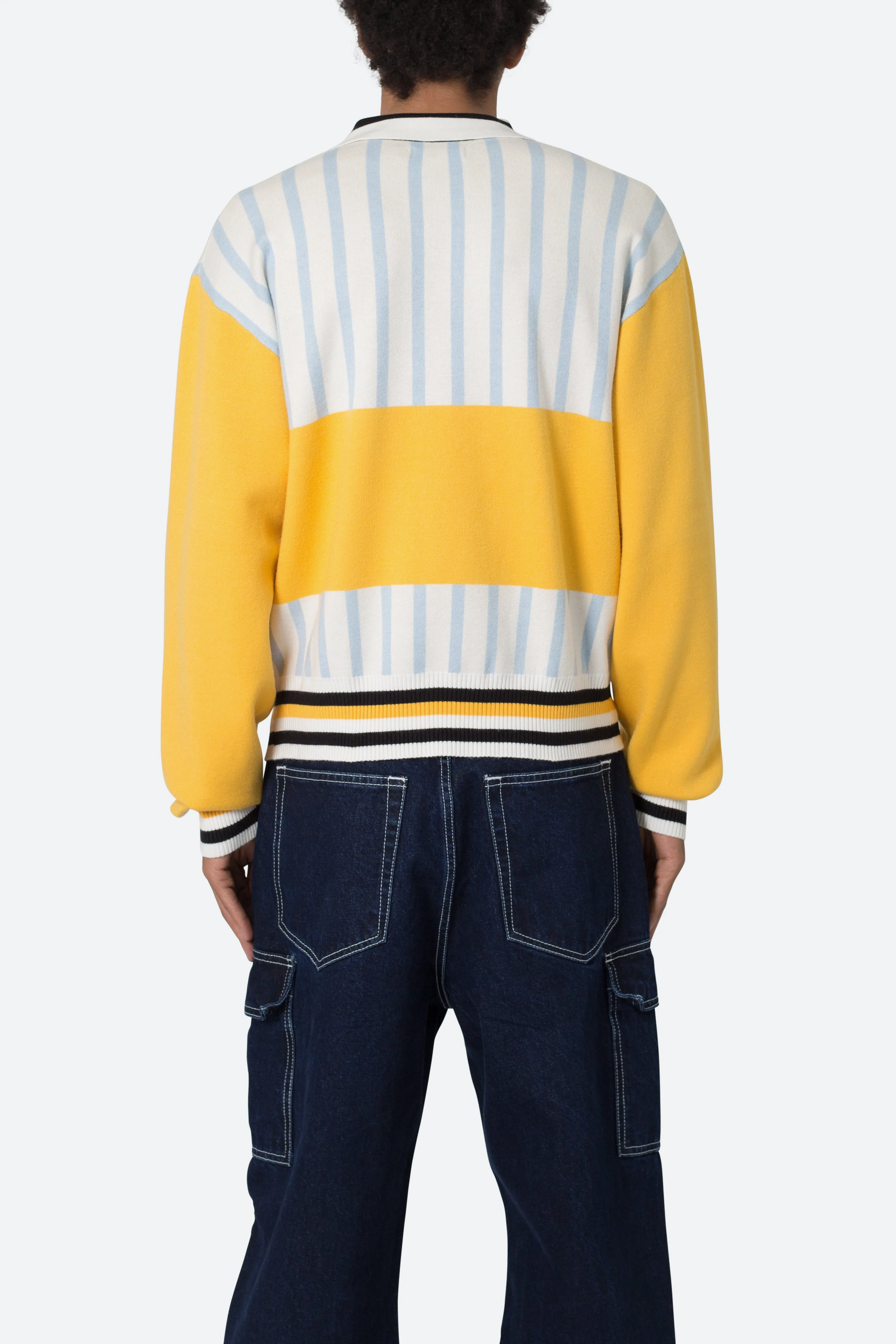 Knit Stripe L/S Polo - Blue/Yellow
